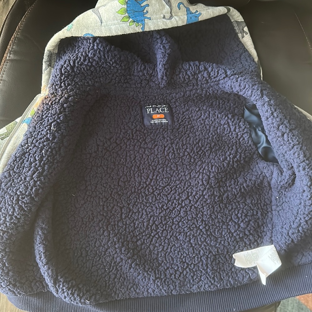 Children Place Dinosaur jacket